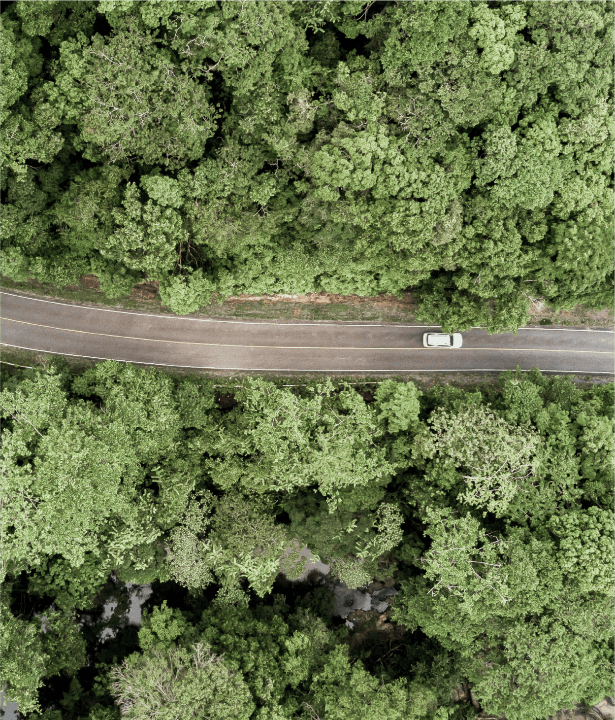 Aerial view of car driving though forest